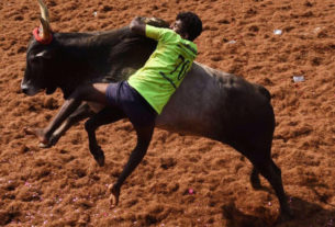 viralimalai jallikattu 2019