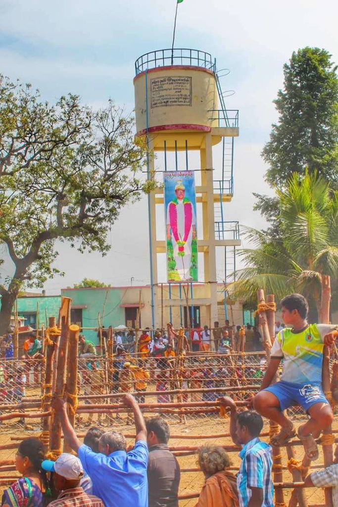 palamedu jallikattu 2K19