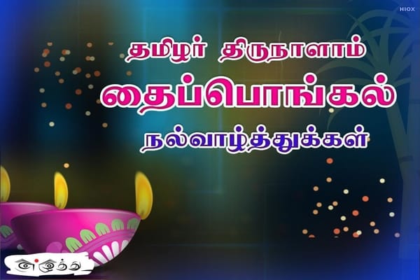 pongal 2019