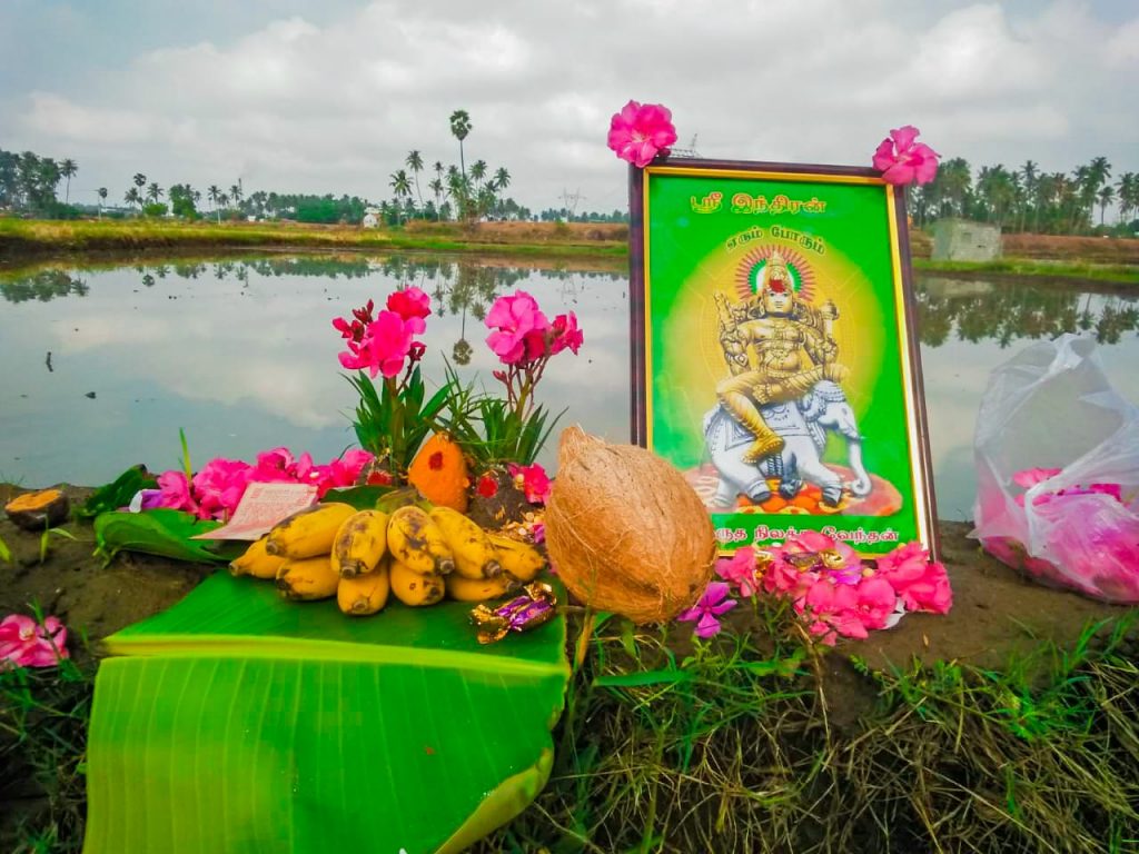 வாழ்வியல் மற்றும் பண்பாடுகள்